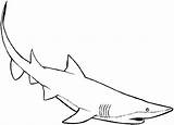 Shark Coloring Pages Printable Usable Leopard Wildlife Animals Via sketch template
