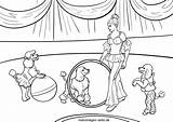Zirkus Pudel Manege Malvorlage Ausmalbild Ausmalbilder Dressur Malvorlagen Klick öffnet Näher Bringen Phantastische Wir Ein sketch template