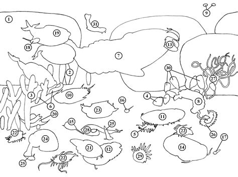hibernating animals coloring pages coloring pictures