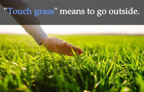 touch grass  sayings meaning examples