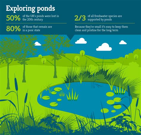 ponds freshwater habitats trustfreshwater habitats trust