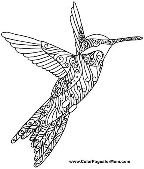 bird coloring page  bird coloring pages colouring pages colouring