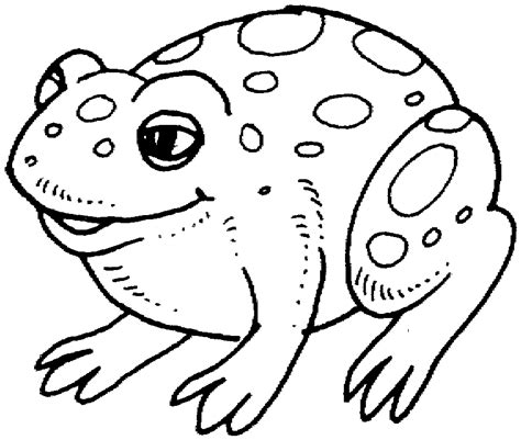 cute frog coloring pages coloring home