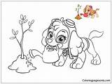 Patrol Paw Skye Pages Coloring Printable Color Kids Dog Para Colorir Online Book Cartoons Coloringpagesonly Patrulha Canina Desenhos Books Animal sketch template