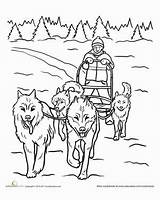 Coloring Dog Sled Pages Dogs Worksheets Sledding Team Education Teamwork Winter Colouring Snow Sheets Adult Husky Color Drawing Iditarod Pattern sketch template