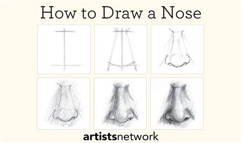 drawing  beginners  step  step guide drawing  beginners drawing tutorials