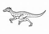 Velociraptor Colorare Disegno Coloriage Jurassique Ausmalbilder Alosaurio Sheets Dinosauri Ausmalbild Coloriages Herunterladen Abbildung Afbeelding Childrencoloring Téléchargez sketch template