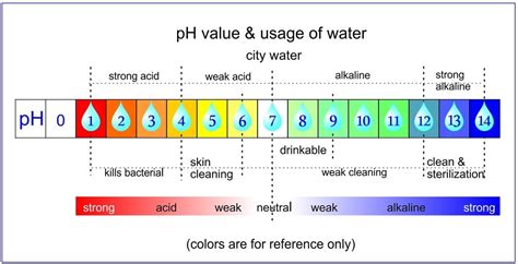 Do You Really Need Alkaline Water Swisspro Singapore