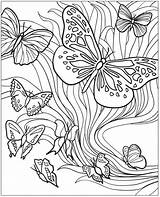 Kleurplaat Vlinders Volwassenen Downloaden sketch template