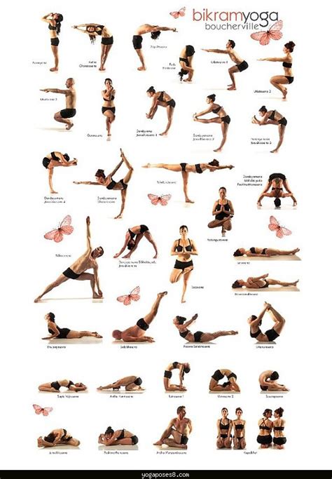 Yoga For Beginners Workout