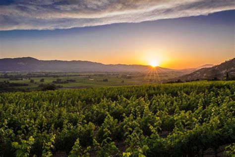 napa valley tourism  usa top places travel guide holidify