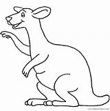 Coloring4free Kangaroo Coloring Pages Toddler Related Posts sketch template
