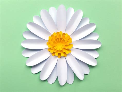 easy diy daisy gerbera paper flower template svg    etsy