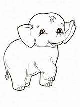 Gajah Mewarnai Elephants Bestcoloringpagesforkids Realistic Hinh Tertawa sketch template