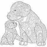 Coloring Pages Dog Puppy Adults Printable Lab Cats Chocolate Cat Labrador Mandala Adult Kitten Pet Animal Kids Retriever Mandalas Easy sketch template