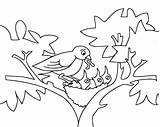 Coloring Baby Birds Pages Bird Nest Kids Mommy Outline Feeding Printable Drawing Tree Lives Cartoon Funny Sheet Fun Colouring Animals sketch template