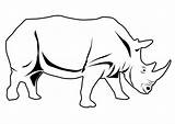 Rinoceronte Colorear sketch template