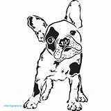 Bulldog French Coloring Terrier Pages Dog Bull Silhouette Boston Drawing Easy Yorkshire Para Frances Stencils Designs Clipart Stencil Dibujo Bulldogs sketch template