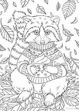 Raccoon Favoreads Racoon Adults Coloriage Dessin Disney Vendu sketch template