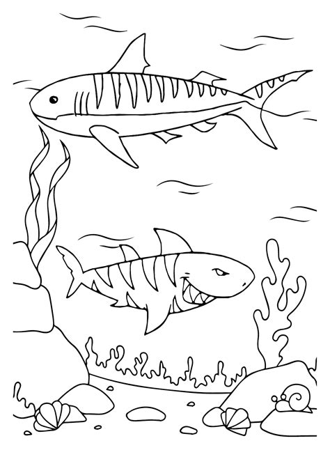 printable tiger shark coloring page  printable coloring pages