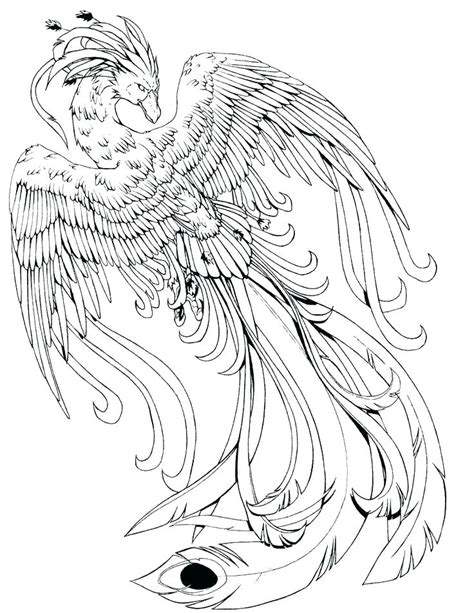 fantasy creatures coloring pages  getdrawings