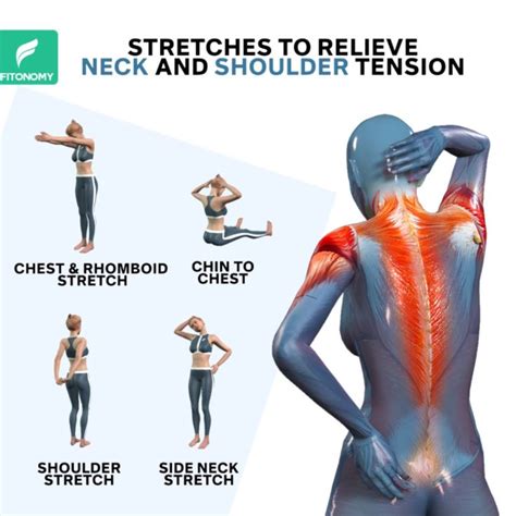 incredible  helps tension  neck  shoulders