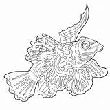 Chinese Illustration Coloring Vector Mandarin Fish Shui Bagua Feng Square Perch Seamless Pattern sketch template
