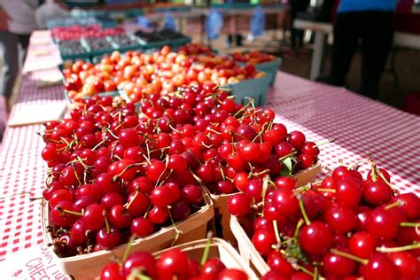 michigan cherry growers happy    tariff  turkish cherries great lakes echo