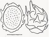 Pitaya Coloring Pages Fruits Kids Avocado Basket Numerous Equipments Educational Fruit sketch template