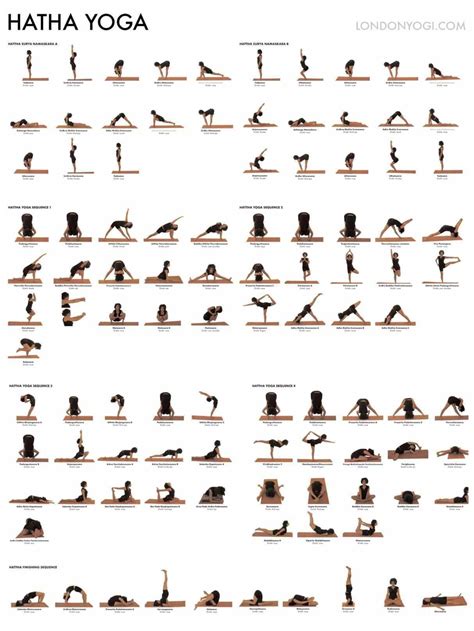 image result  hatha yoga level  ashtanga yoga vinyasa yoga hatha