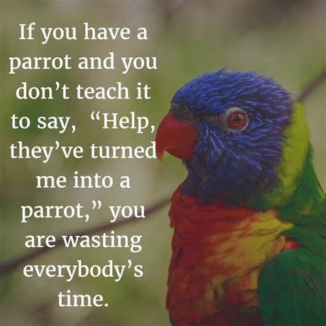 parrot funny image  incredible website