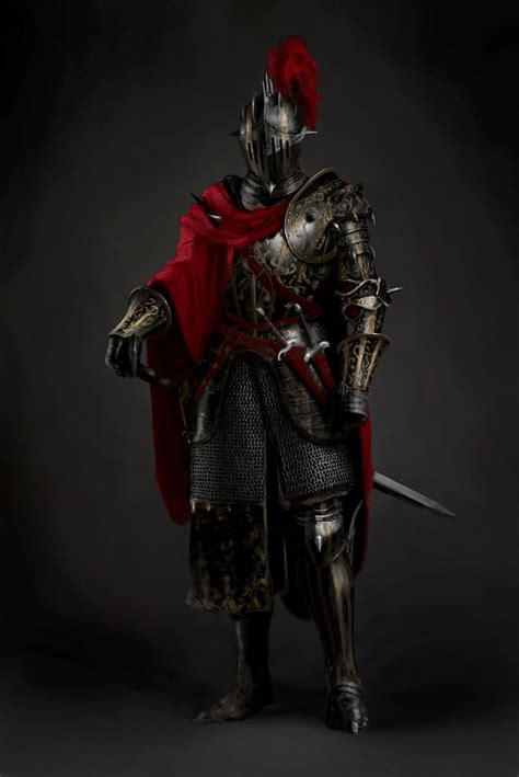spassundspiele black ornate armor knight  jonghwan lee rpg