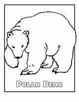 Polar Bear Pages Coloring Color Printable Kids sketch template