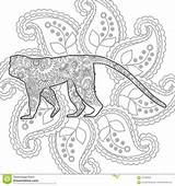 Paisley Disegnato Scarabocchio Adulto Animale Zentangle Rilascio Coloritura sketch template