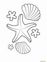Coloring Pages Starfish Print Printable Color Getcolorings sketch template