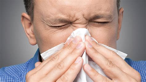 do you have a sinus infection a cold or allergies fayetteville ent