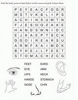Body Parts Coloring Crossword Word Pages Grid Find Kids Written Below English Activities Puzzle Work Search Bestcoloringpages Puzzles Worksheets Preschool sketch template