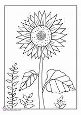 Bunga Matahari Mewarnai Membahas Topik Pengantar Beragam sketch template