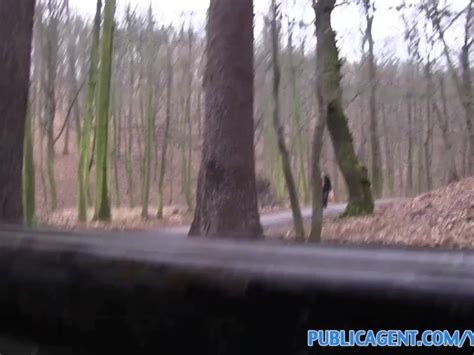 publicagent outdoor sex filmed on amateur camcorder in