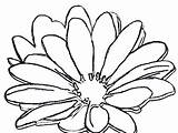 Coloring Pages Flower Daisy Flowers Georgia Keeffe Purple Drawing Wedding Girl Girls Printable Clip Clipart Color Template Simple Designlooter Cliparts sketch template