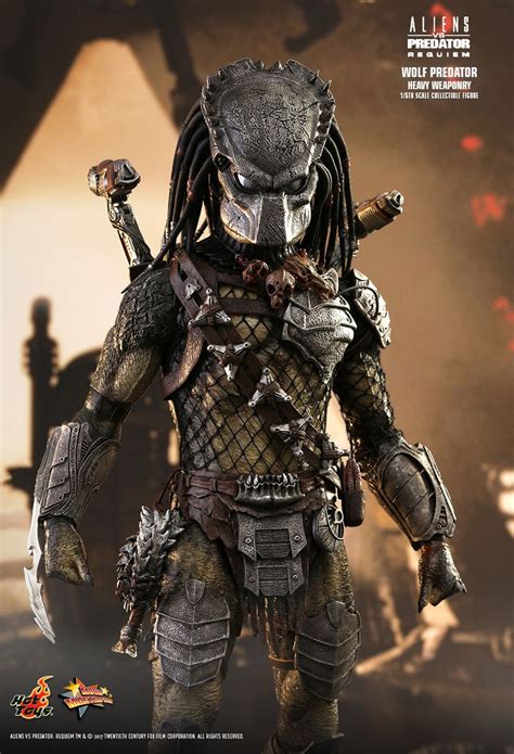 wolf predator heavy weaponry sideshow collectibles avpgalaxy