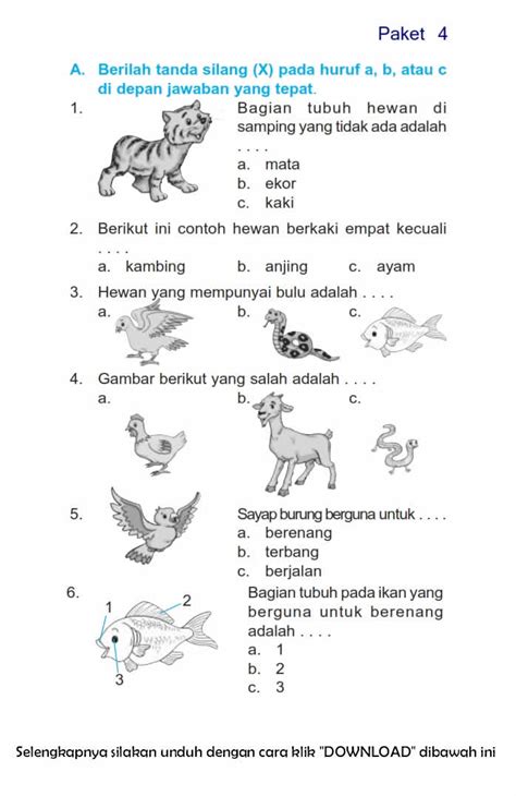 soal bahasa indonesia kelas  sd csswes