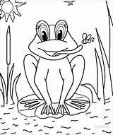 Toad Toads Kindergarten Coloringbay Cool2bkids sketch template