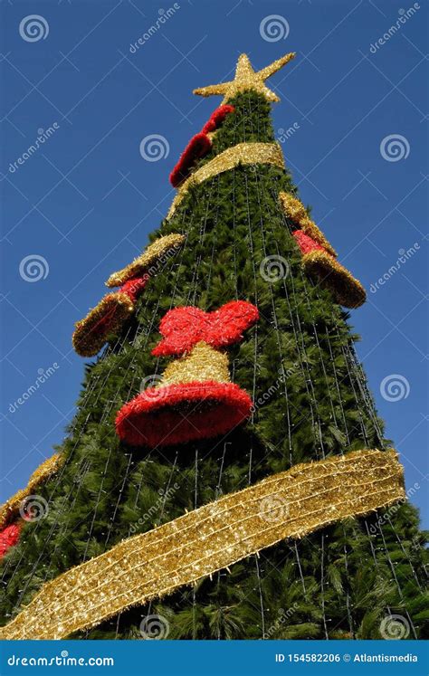 typical christmas tree  spanish towns stock photo image  shape bell