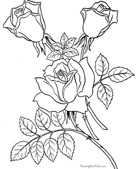 coloring pages sheets  roses