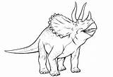 Triceratops Coloring Drawing Sketches Getdrawings sketch template