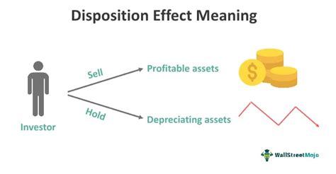 disposition effect    examples  loss aversion