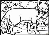 Wolf Coloring Pages Fox Getcolorings Cute Printable sketch template