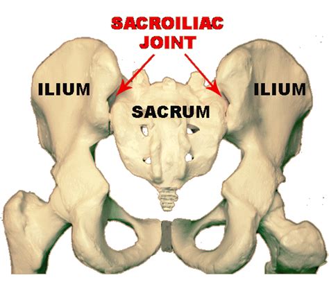 sacroiliac joint dysfunction relationship   hip