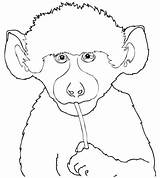 Baboon Baby Cute Coloring Pages Baboons Printable Drawing Animals Olive Categories Elephant Supercoloring sketch template